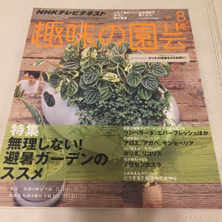 メルカリ 趣味の園芸 13 8月号 避暑ガーデンのススメ 住まい 暮らし 子育て 330 中古や未使用のフリマ メルカリ 趣味の園芸 13 8月号 避暑ガーデンのススメ 住まい 暮らし 子育て 330 中古や未使用のフリマ