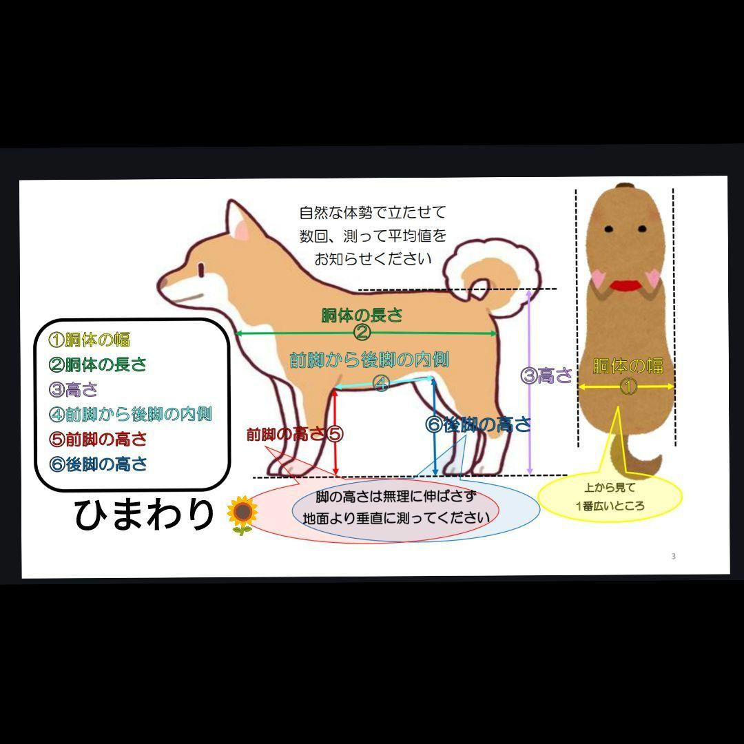 ストア Ｍ.ダックス4輪!リハビリ!食事補助!犬用車椅子!介護用!犬の歩行器！