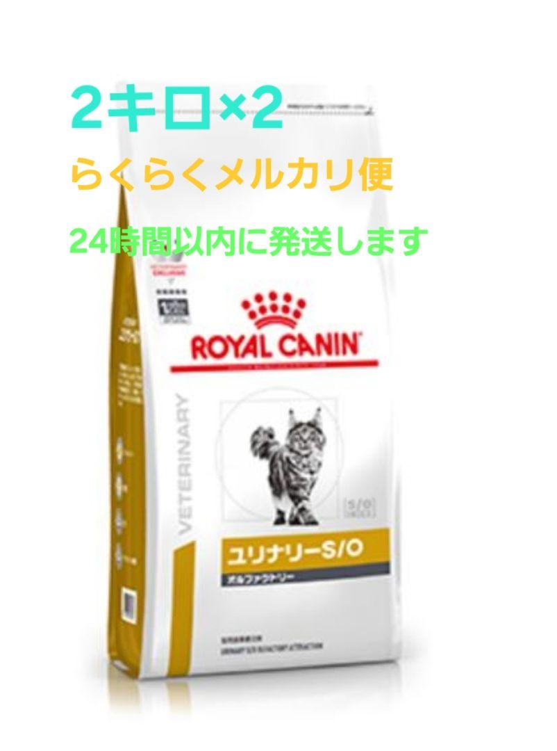 CANIN ユリナリー S/O 2kg 2個 新品未開封】ロイヤルカナン オルファクトリー ユリナリー-S/O