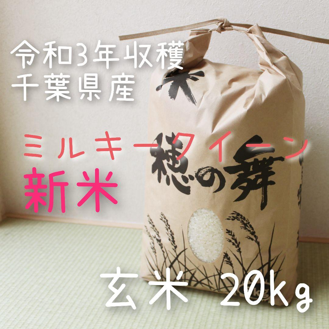 スペシャルSET価格 【玄米20kg】ミルキークイーン 令和3年収穫 千葉県産:EXPECTATION/ -plus.begin.sk スペシャルSET価格 【玄米20kg】ミルキークイーン 令和3年収穫 千葉県産:EXPECTATION/ -plus.begin.sk