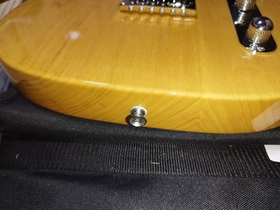 FUJIGEN (フジゲン) NTE10MAH VNT テレキャスター