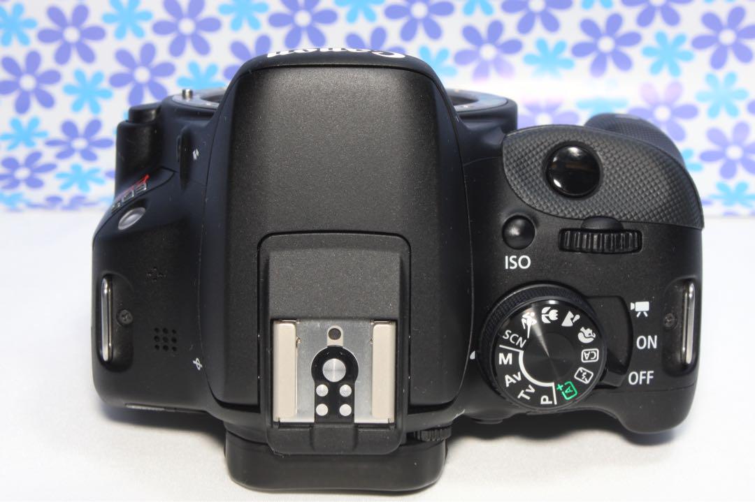 ✿ Canon