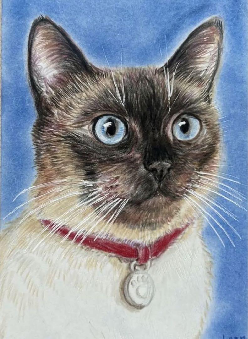 猫 絵画 子猫 イラスト 水彩色鉛筆 油彩色鉛筆 原画 シャム猫
