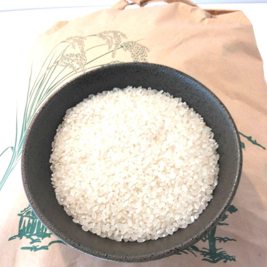 令和3年京都府綾部市産 てんこもり20kg安く 買う