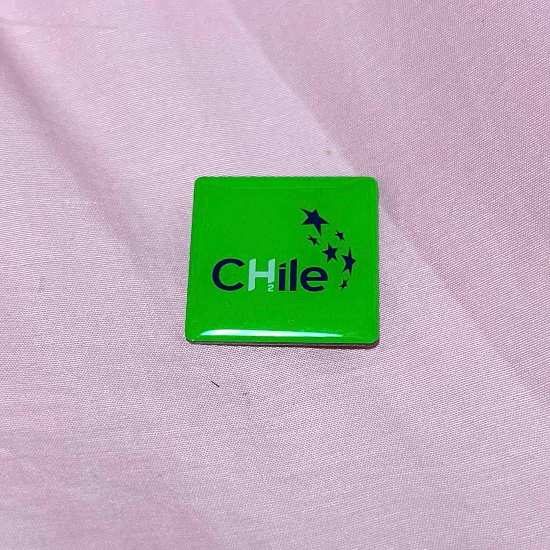 大阪関西万博 チリパビリオン ピンバッジ グリーン