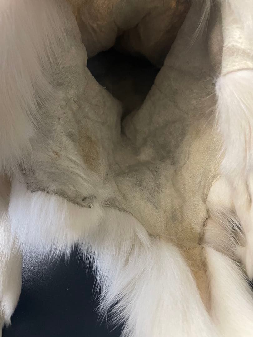 フォックス 狐 原皮 フォックス 狐 原皮