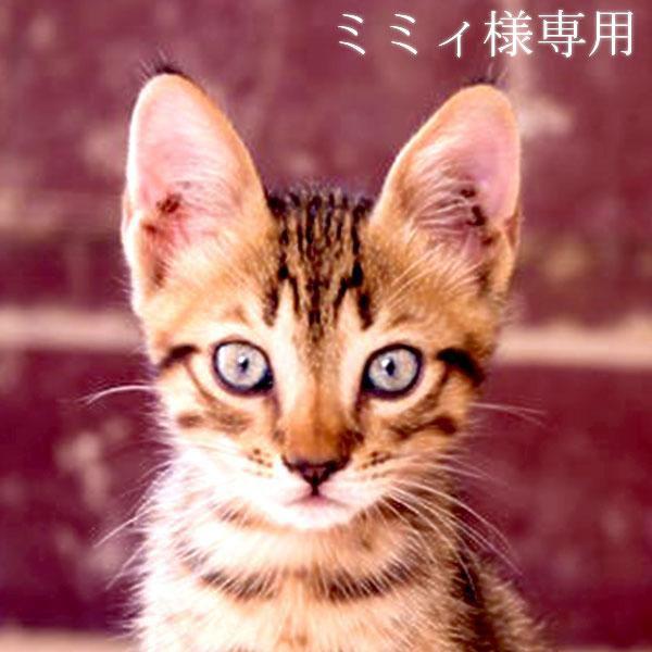 ミミィ様専用オーダーページ | lyceefrancaismalabo.org
