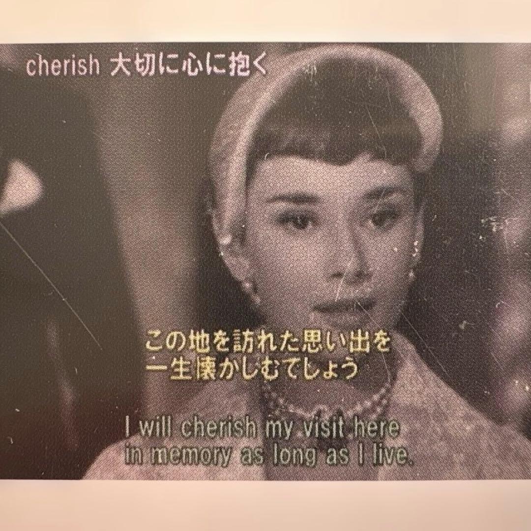 DVD『風と共に去りぬ』＆英語学習映画シリーズ『ローマの休日』2枚