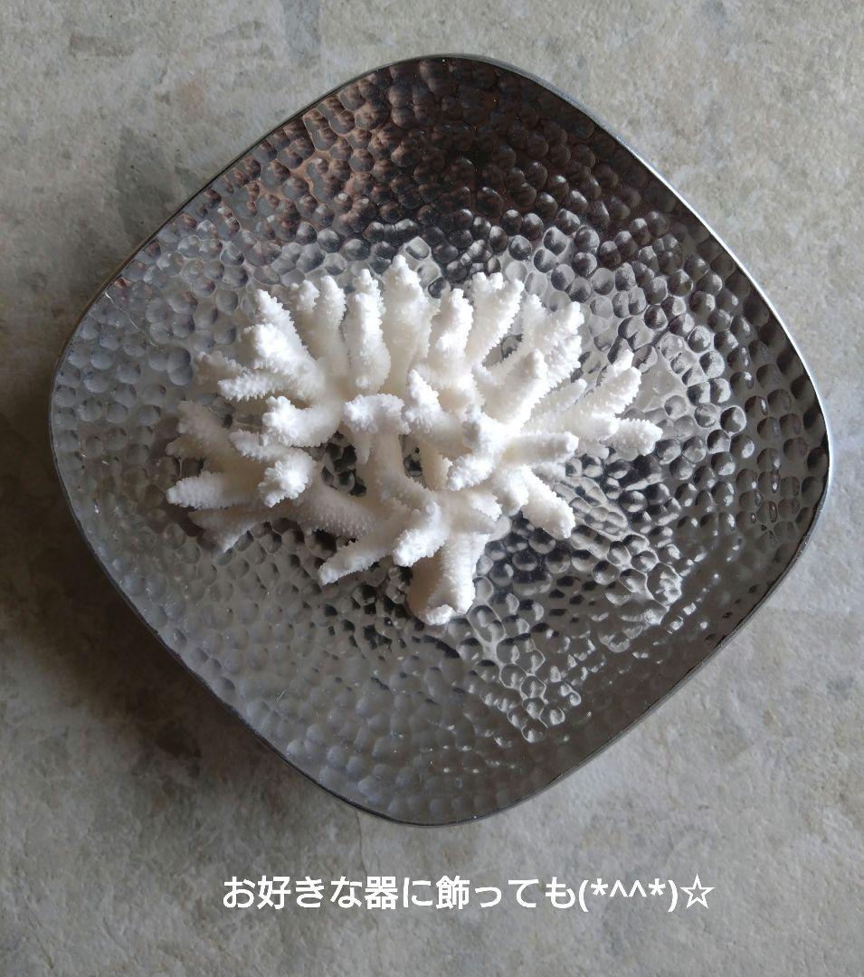 素敵☆ 珊瑚礁 珊瑚 貝殻 アロマストーン アロマオイル 置物 白