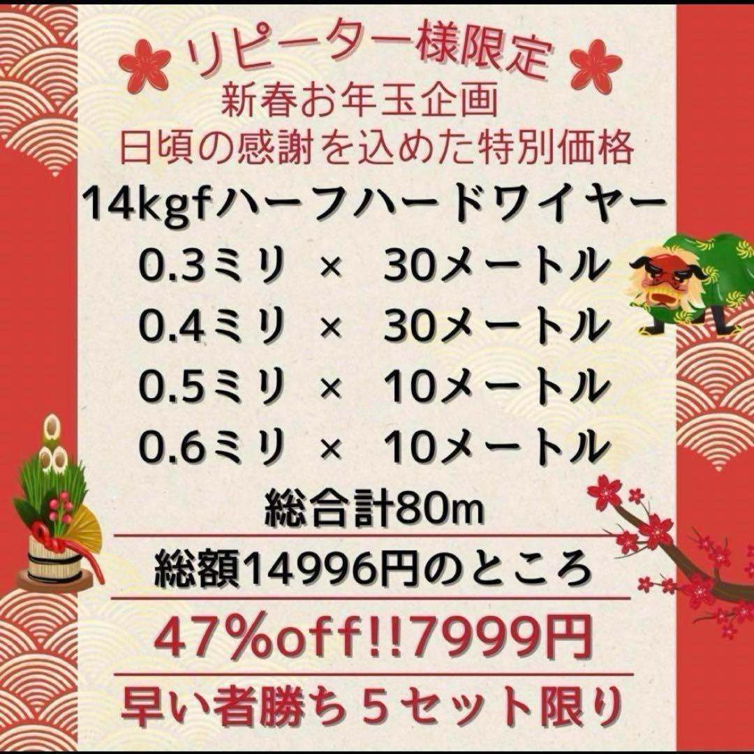 限定5 新春お年玉企画 14kgf ハーフハードワイヤー 計80m おまけつき 6,719円