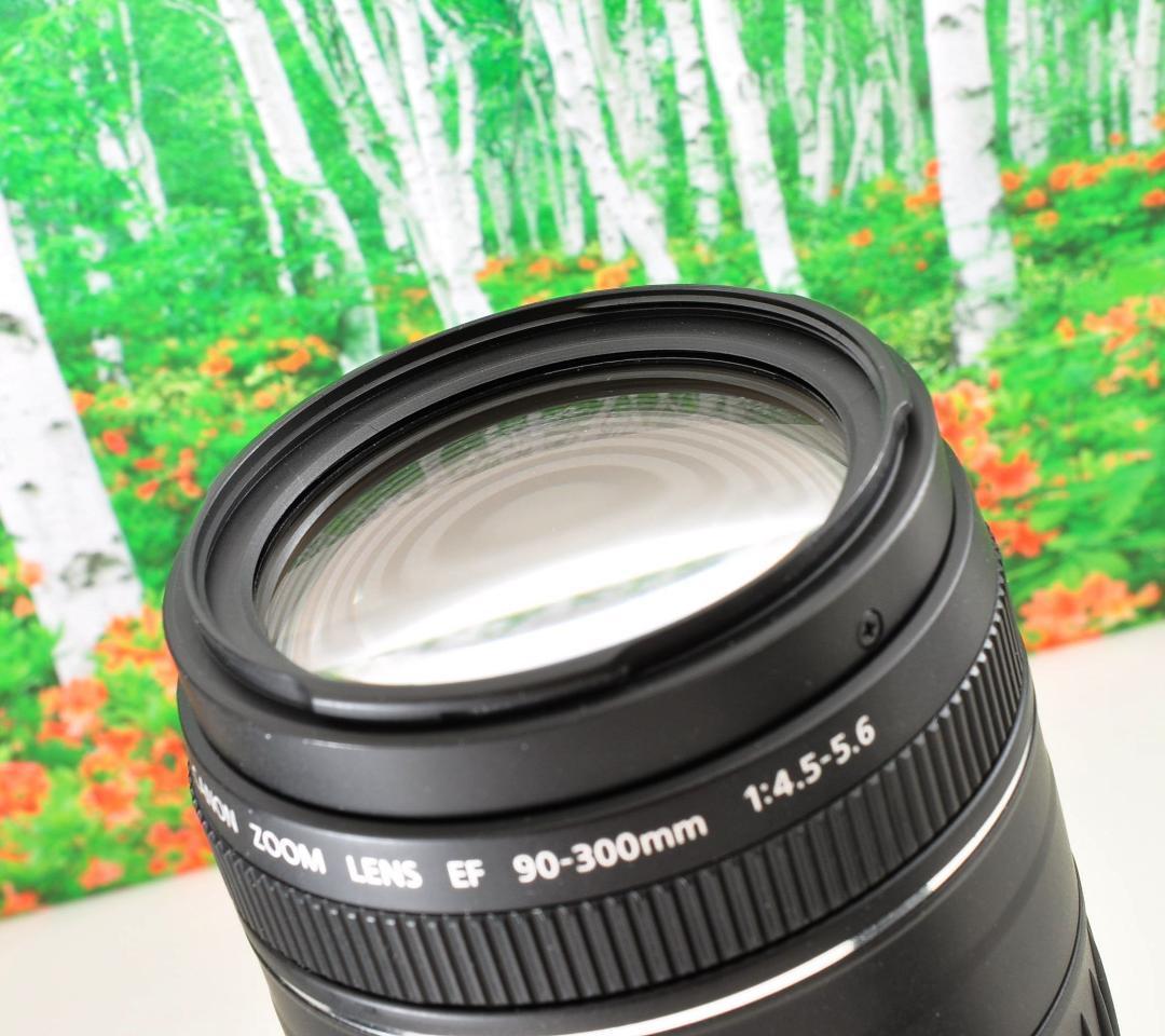 Canon純正 90-300mm 望遠レンズ a4450 Amazon.co.jp: Canon EF 90-300mm F4.5-5.6 USM : 家電＆カメラ