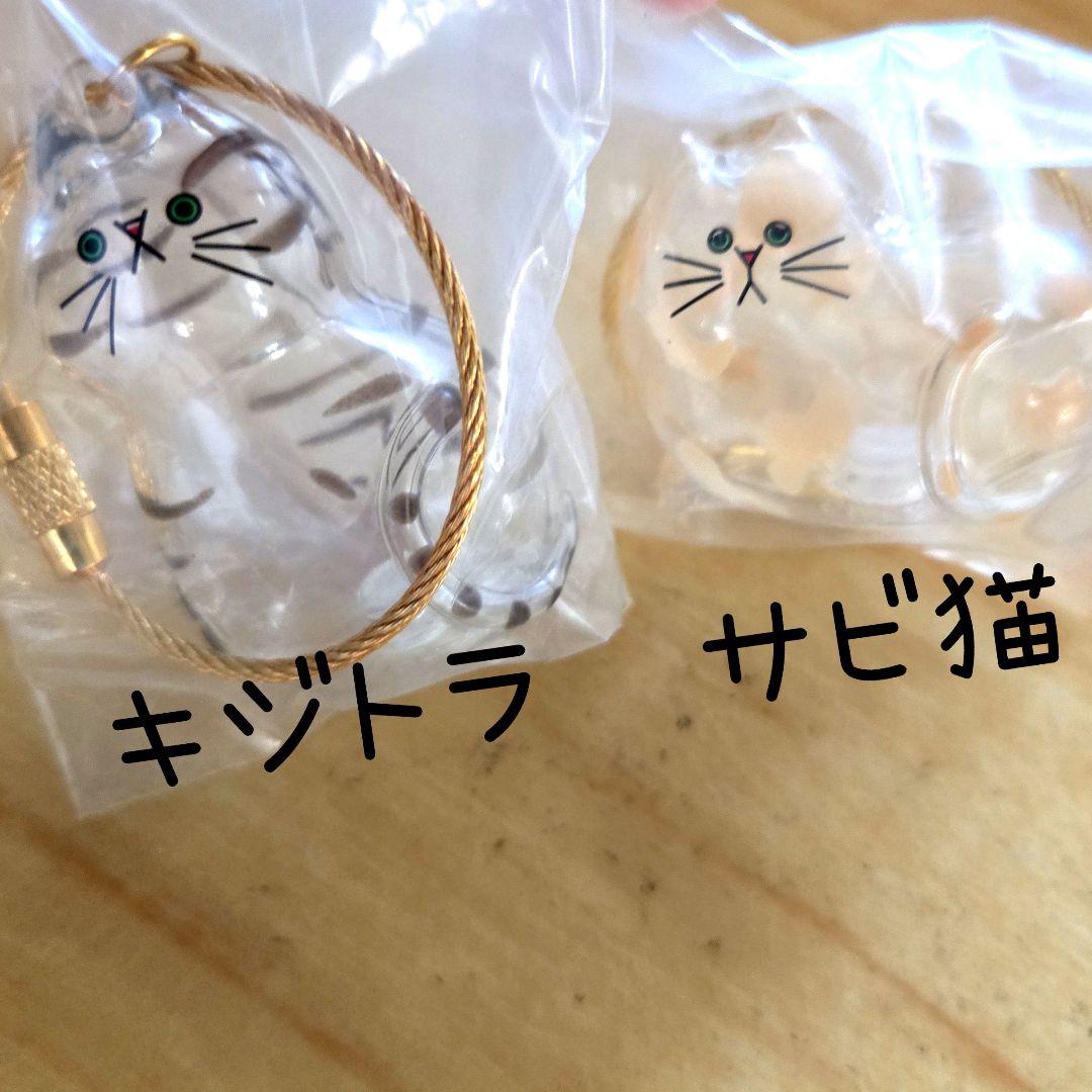 限定　キジトラ　サビ猫　うちの子のけだまだま　ガチャ
