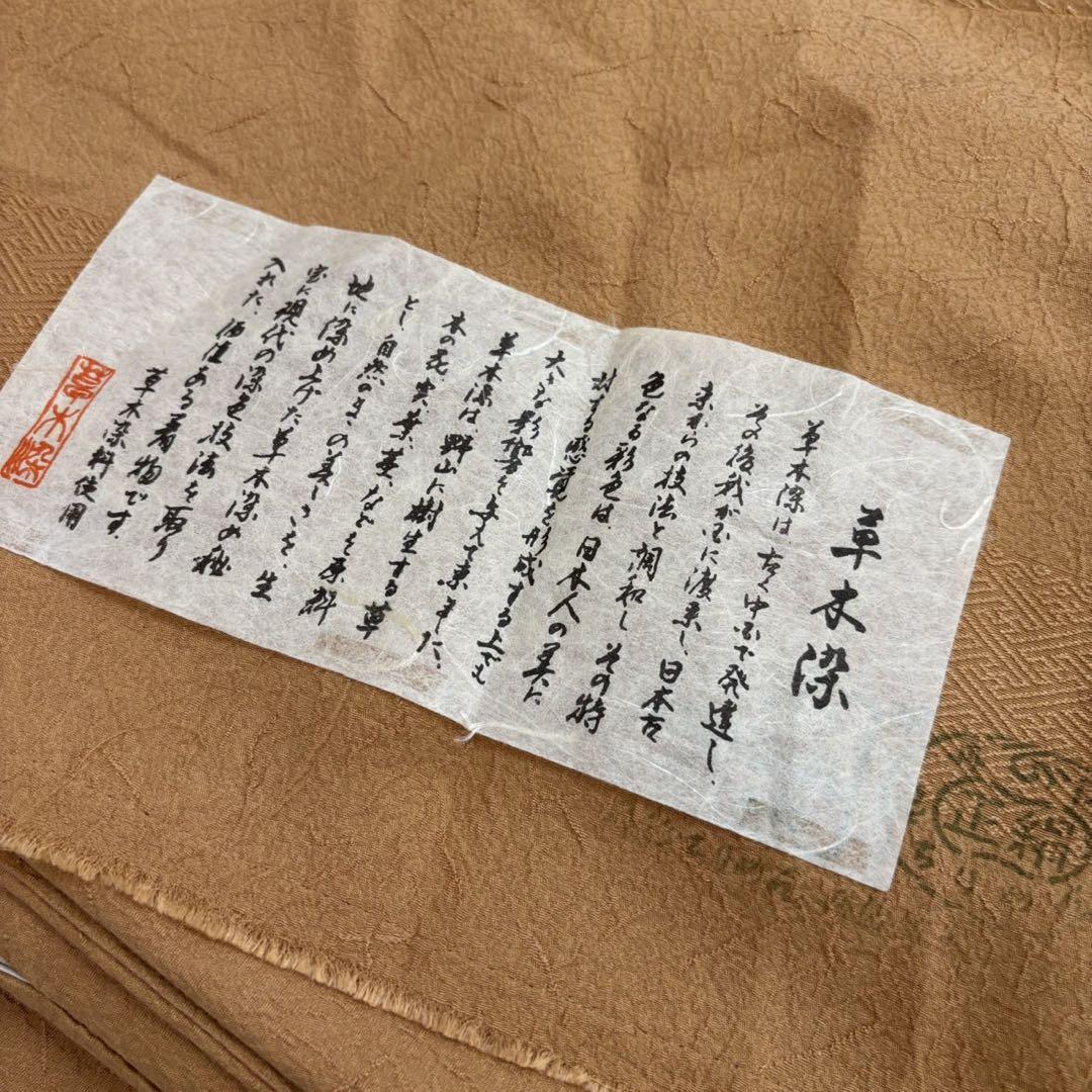 色無地 草木染 トールサイズ 裄68 着物 正絹 一つ紋 袷 広衿RK