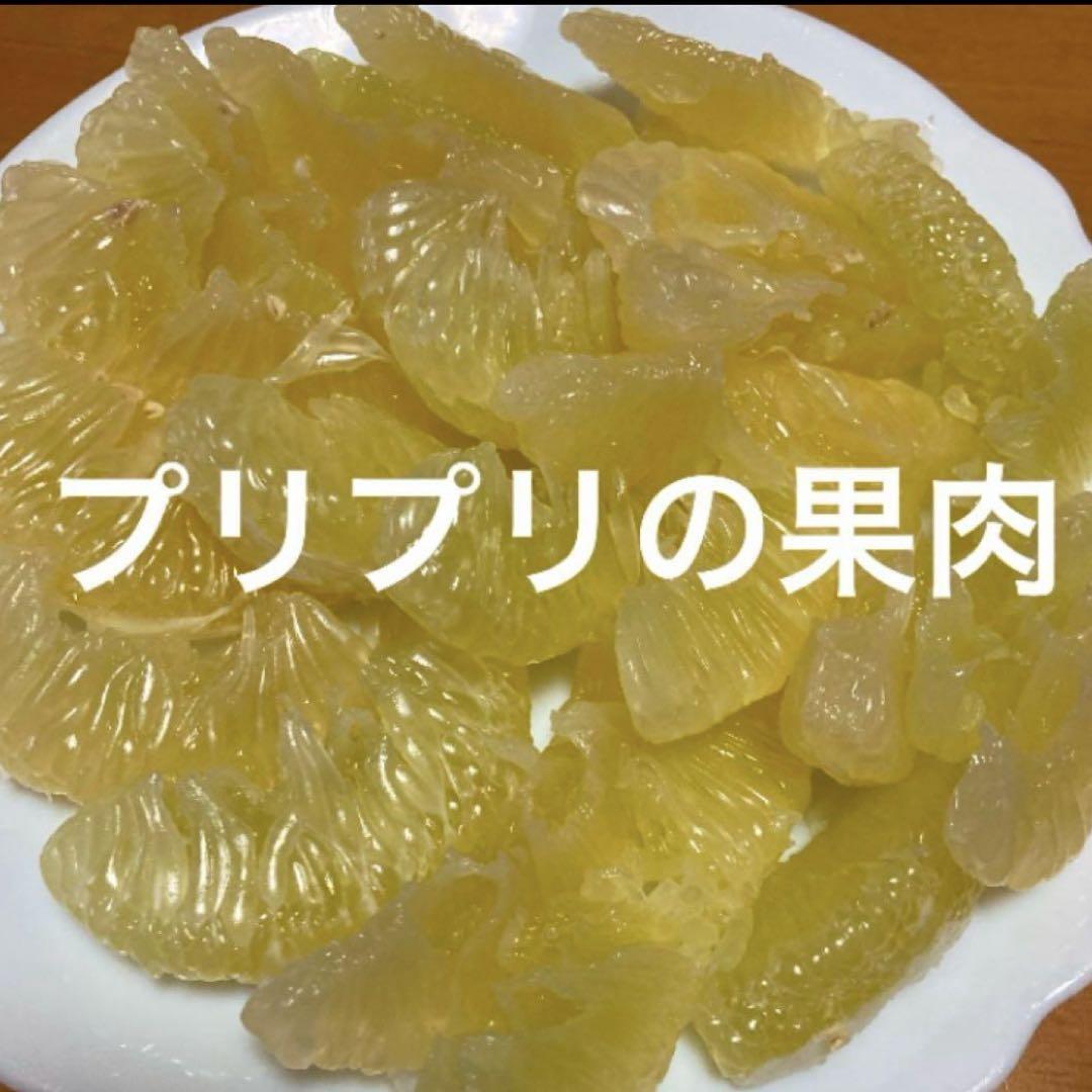 パール柑Ｌ20kg生産者直送、農薬・化学肥料不使用❣️