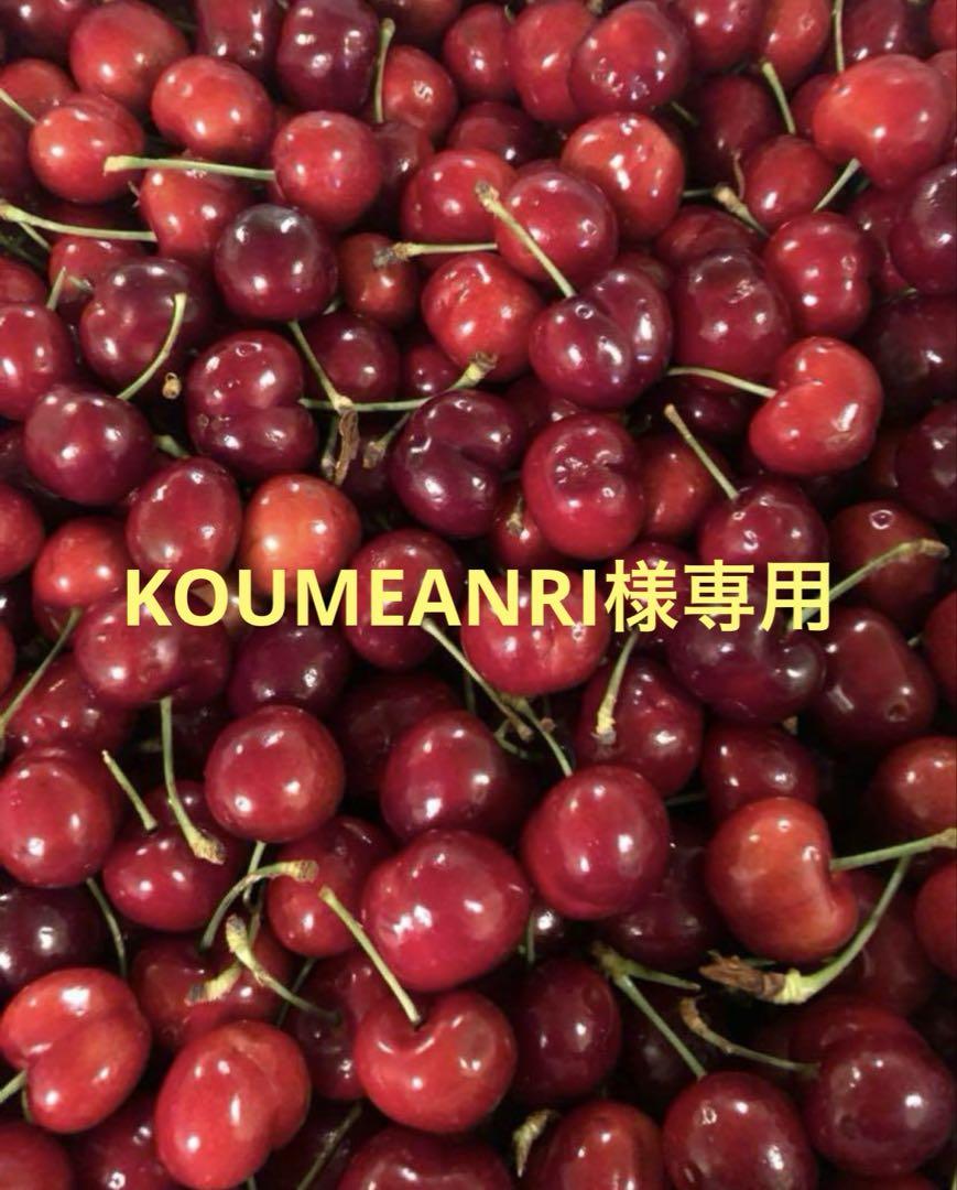 KOUMEANRIクール便アメリカンチェリー9.5w８キロ
