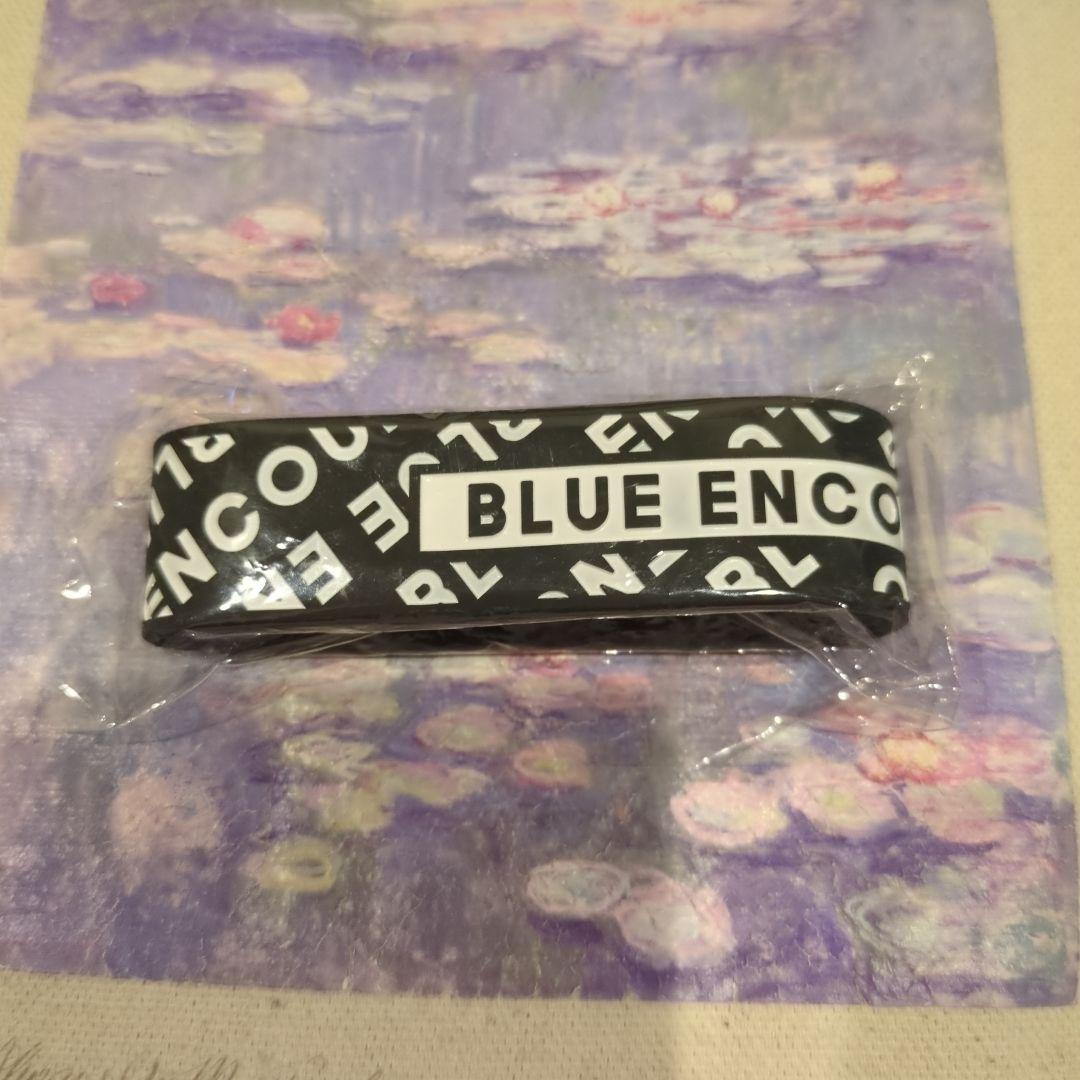 未使用 ブルエン Blue Encount ラババン - メルカリ
