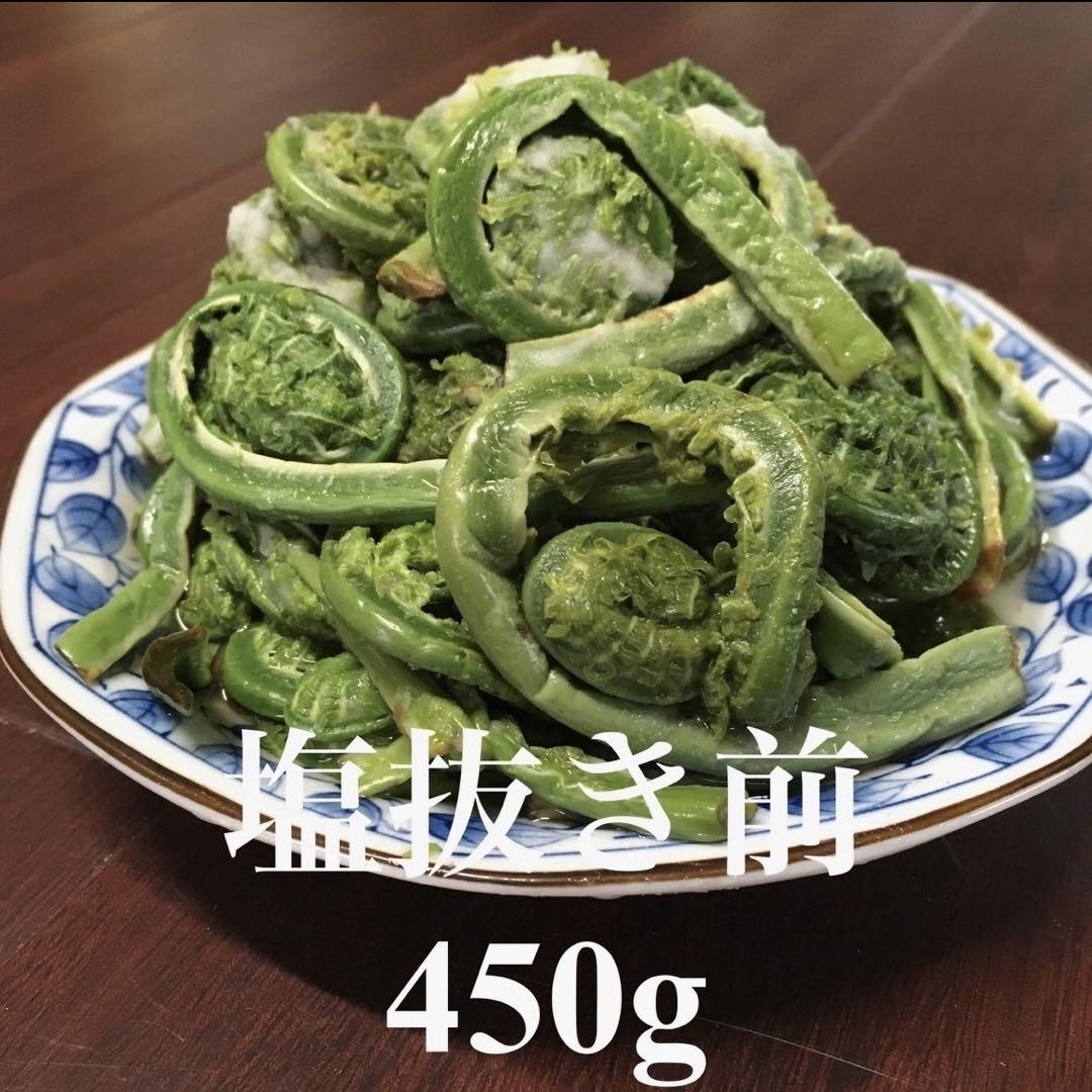 山形県産 コゴミ塩漬け 4kg(1kg×4袋) 塩蔵　こごみ　山菜　野菜 山形県産 コゴミ塩漬け 3kg(1kg×3袋) 塩蔵 こごみ 山菜 野菜
