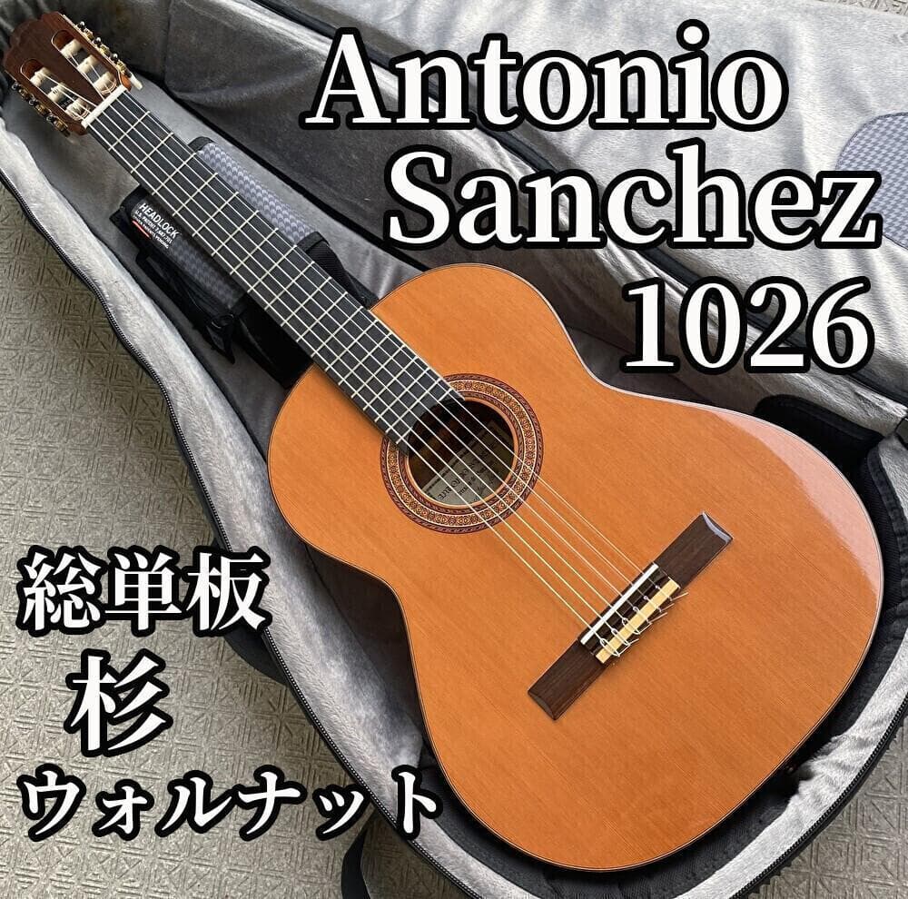 Antonio Sanchez アントニオ・サンチェス 1026 ウォルナット2