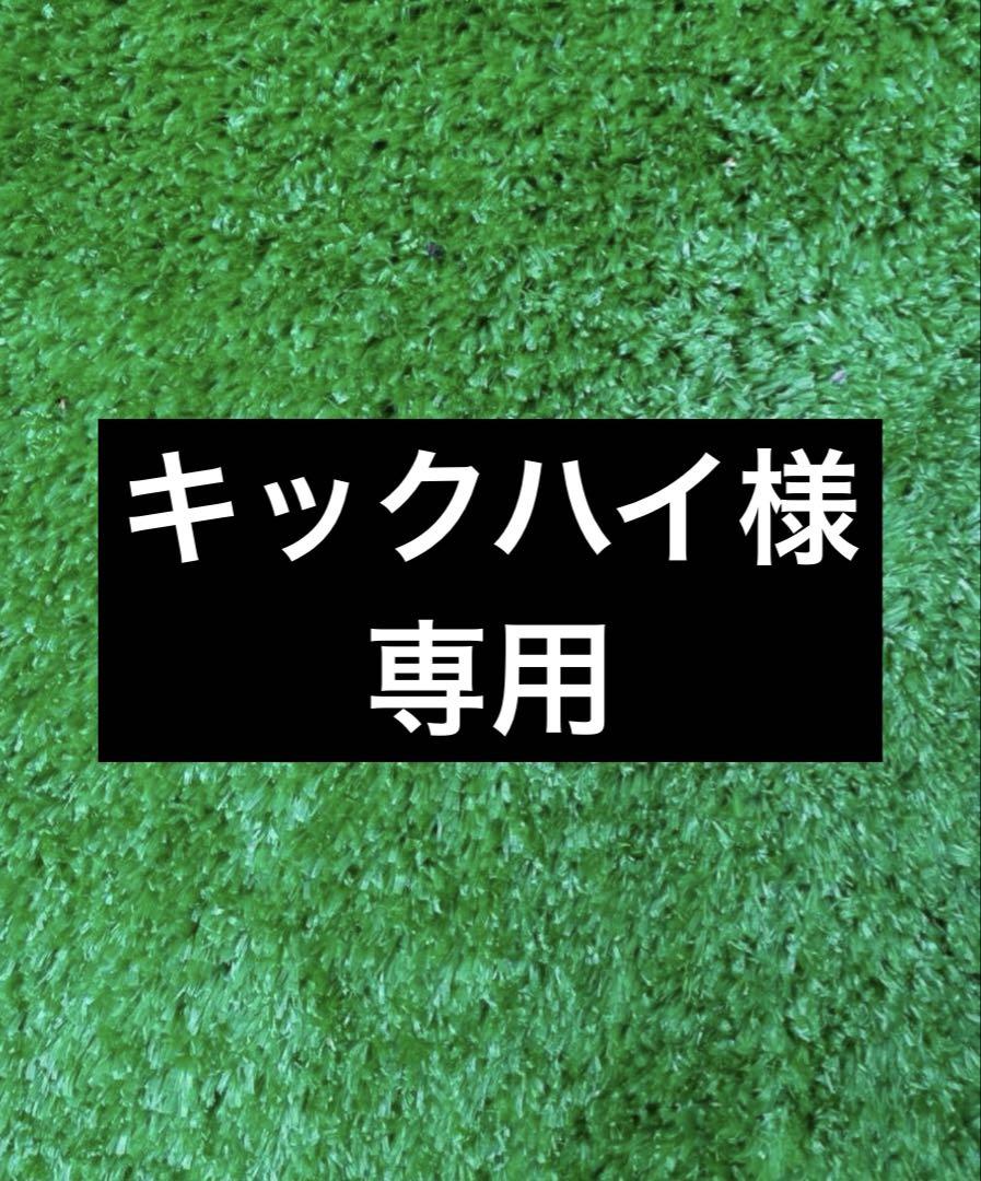 キックハイ様専用ページ。