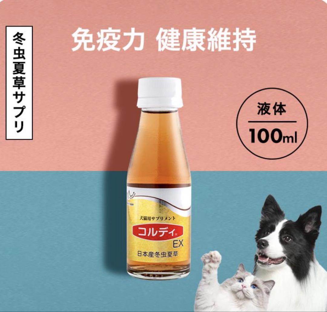 コルディex 100ml ２本セット