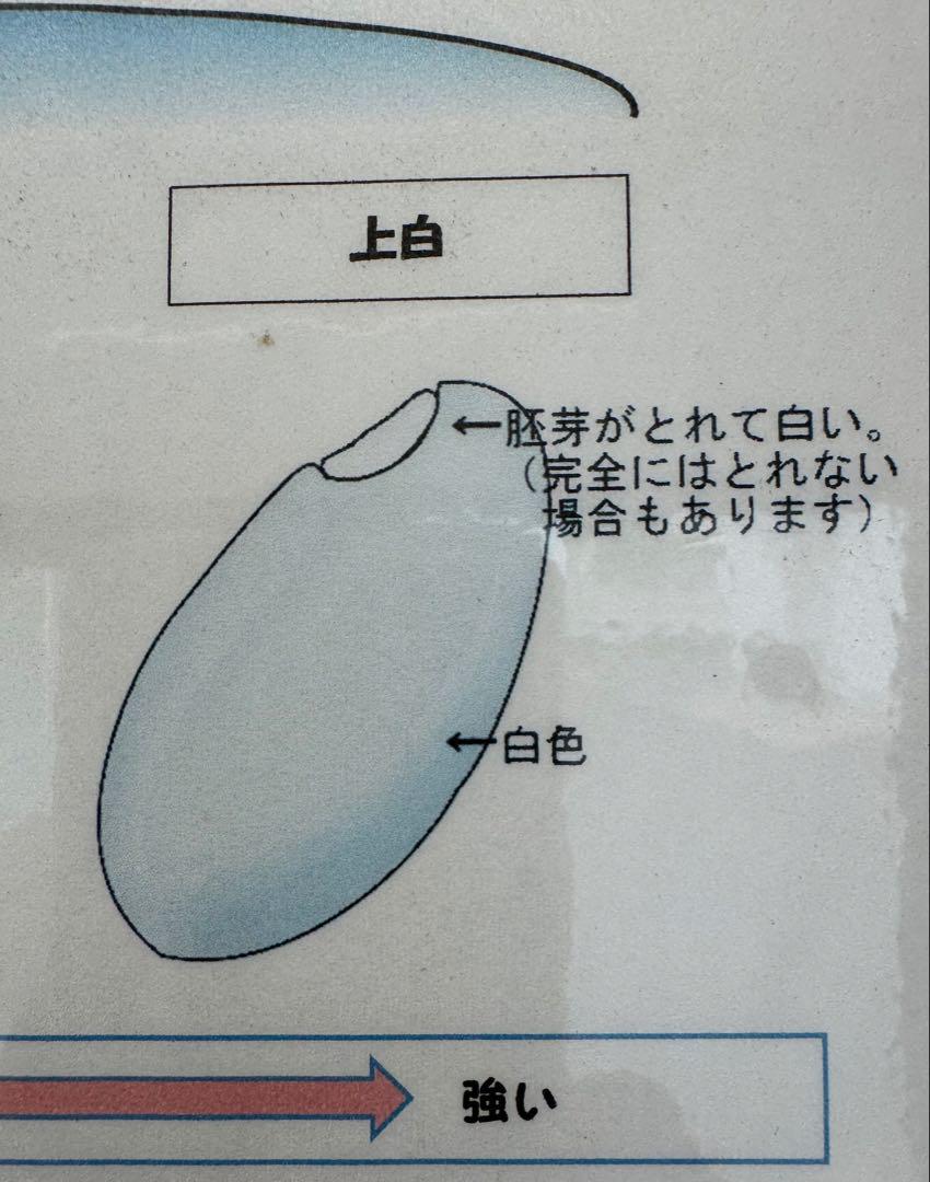 千葉県自慢のお米⭐︎ミルキークイーン ⭐︎玄米 10kg 残りわずか！