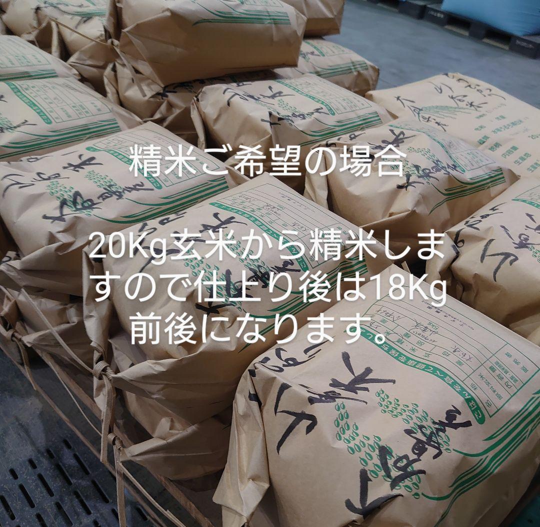 パリコレクション 色彩選別済み！1等米 新米 山香米 ひのひかり 大分県産 20Kg 米・雑穀・粉類