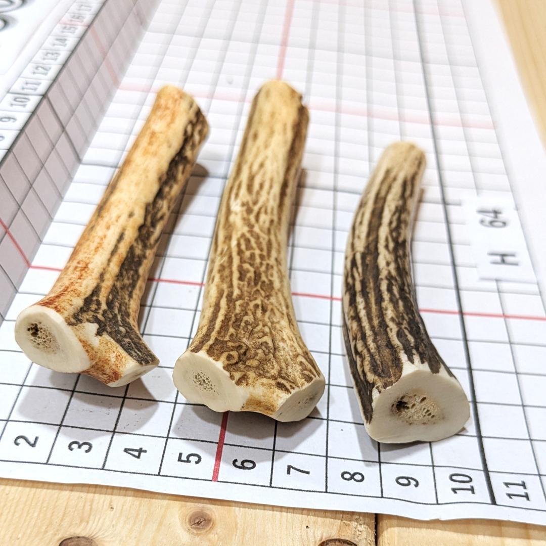 鹿の角 H64 3本セット 100g 兵庫県産 鹿角 鹿のツノ しかつの