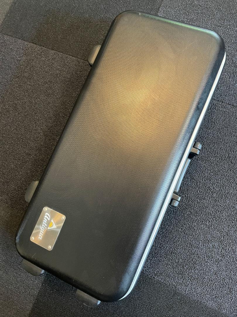 アンティグア　アルトサックス　極美品３　ANTIGUA ALTO SAX　21万