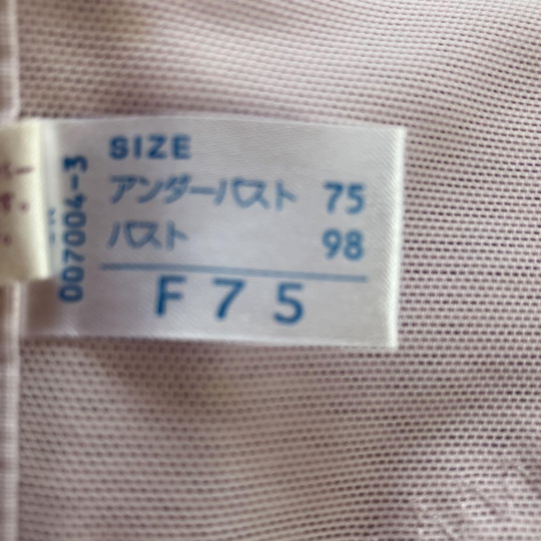 シャンデール ピンク F75 スリーインワン - メルカリ