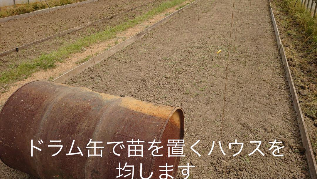 新潟県認証特別栽培米 新潟県産従来コシヒカリ 玄米 30キロ