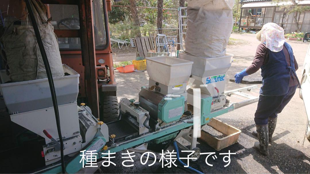 新潟県認証特別栽培米 新潟県産従来コシヒカリ 玄米 30キロ