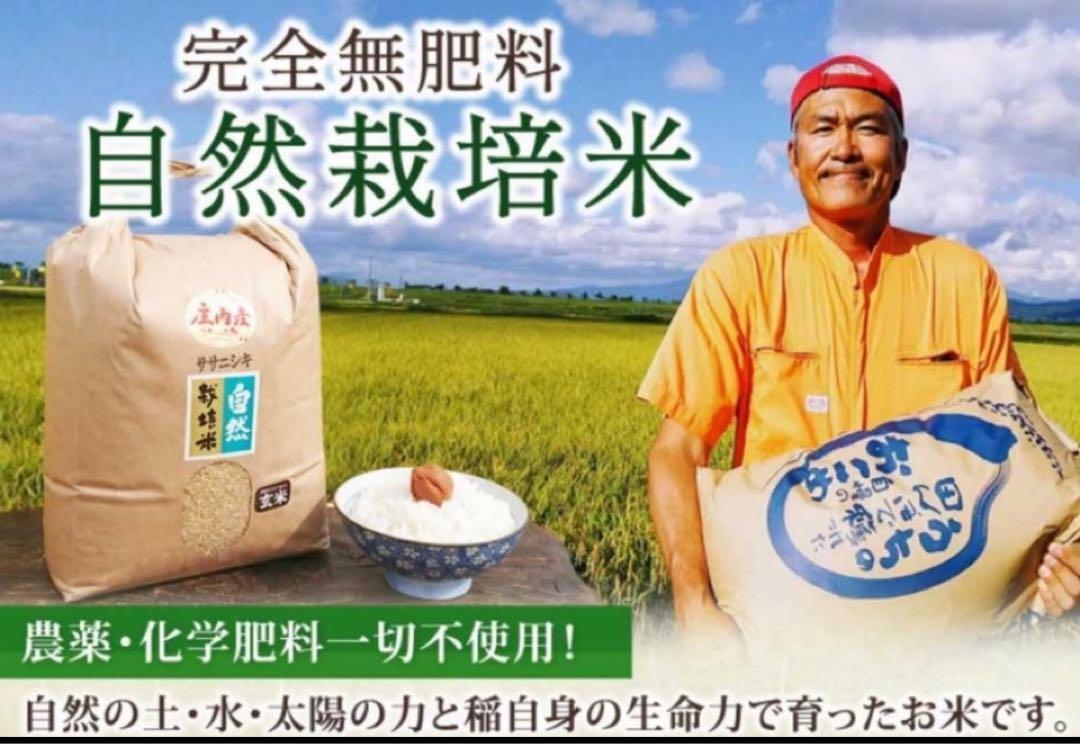 自然栽培米　幻の米　ササシグレ(ササニシキ親品種) 玄米５kg 山形県庄内米