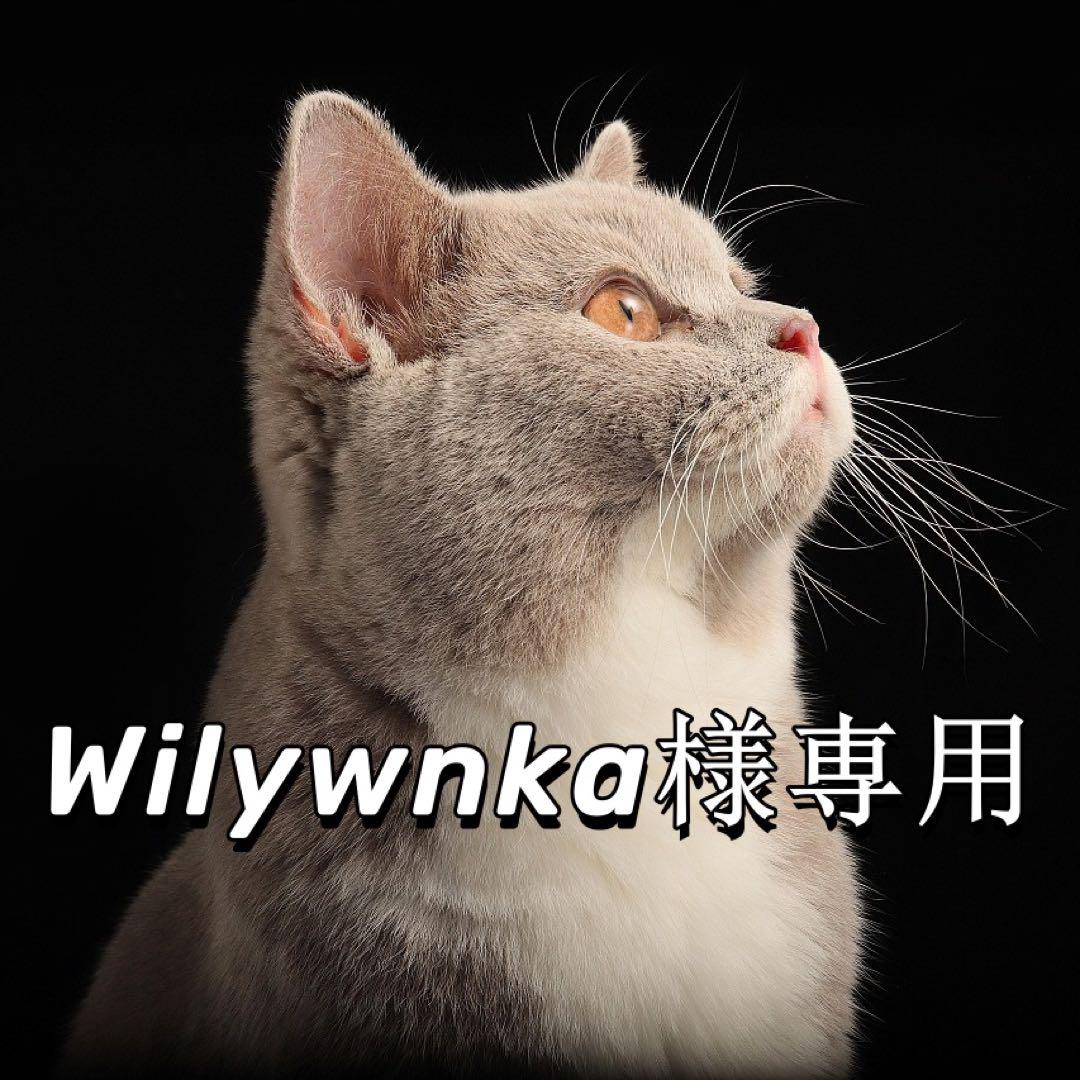 Wilywnka様専用 画像1