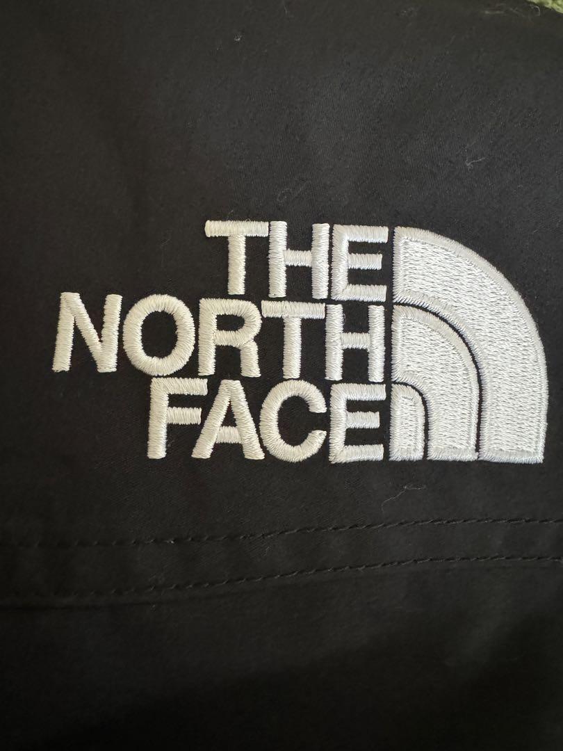 THE NORTH FACE 黒 マウンテンダウンジャケット GORE-TEX