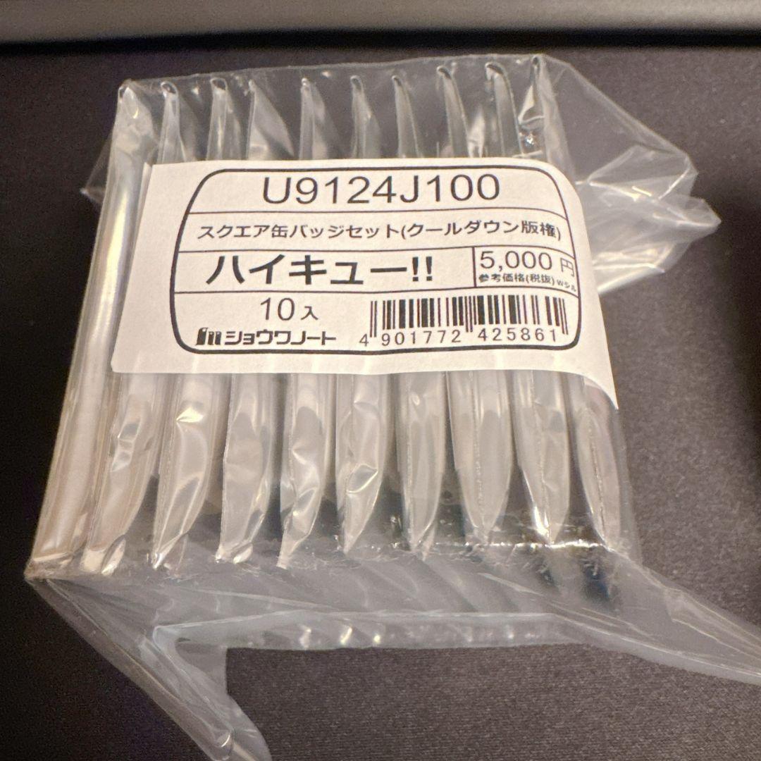 ハイキュー！！ スクエア缶バッジ(クールダウン) セブンネット