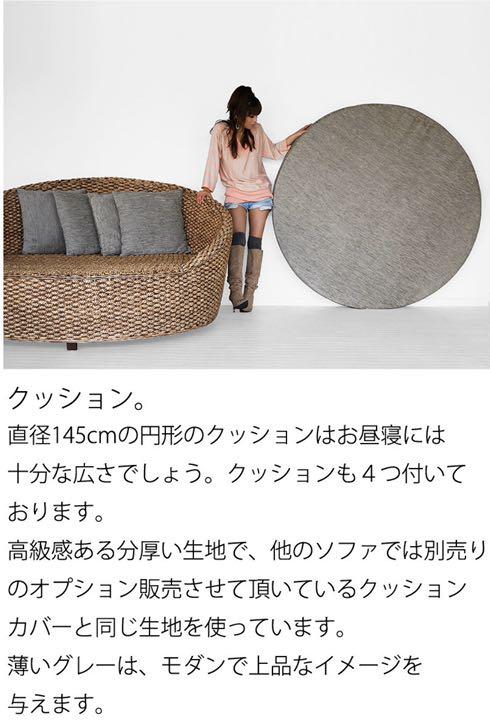 在庫最安値 ウォーターヒヤシンス デイベッド マイヤミ お引取りは3万3千円お値引き gkB3X-m31677817994 得価安い