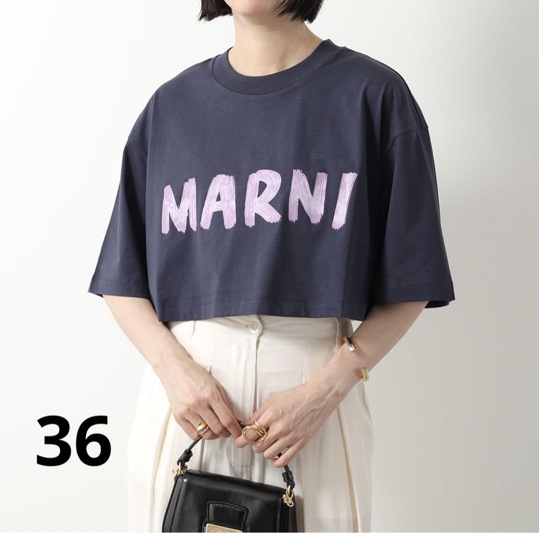 MARNI マルニ ロゴTシャツ　ネイビー　36サイズ　半袖　ショート丈