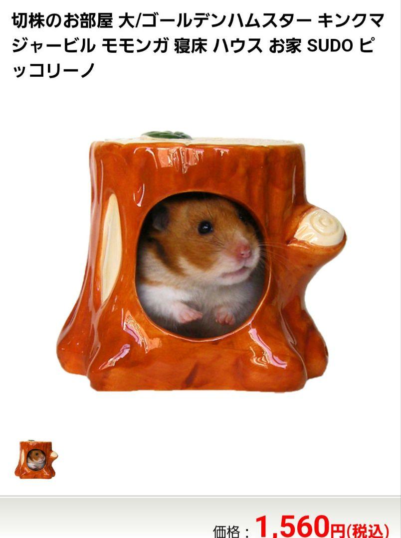 ハムスター飼育セット　ルーミィ