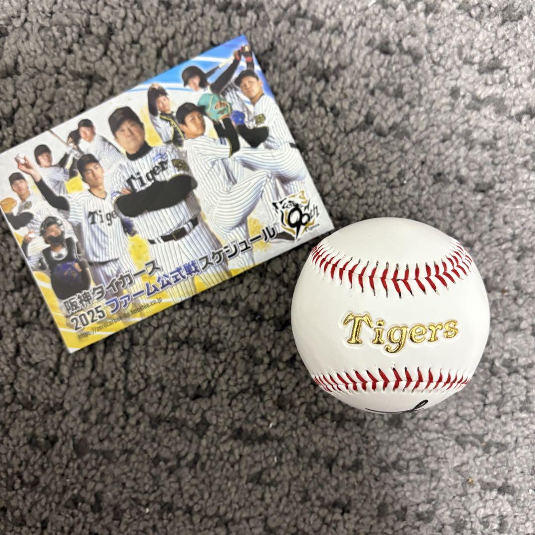 阪神タイガース才木浩人投手直筆サインボール 新品ケース カード