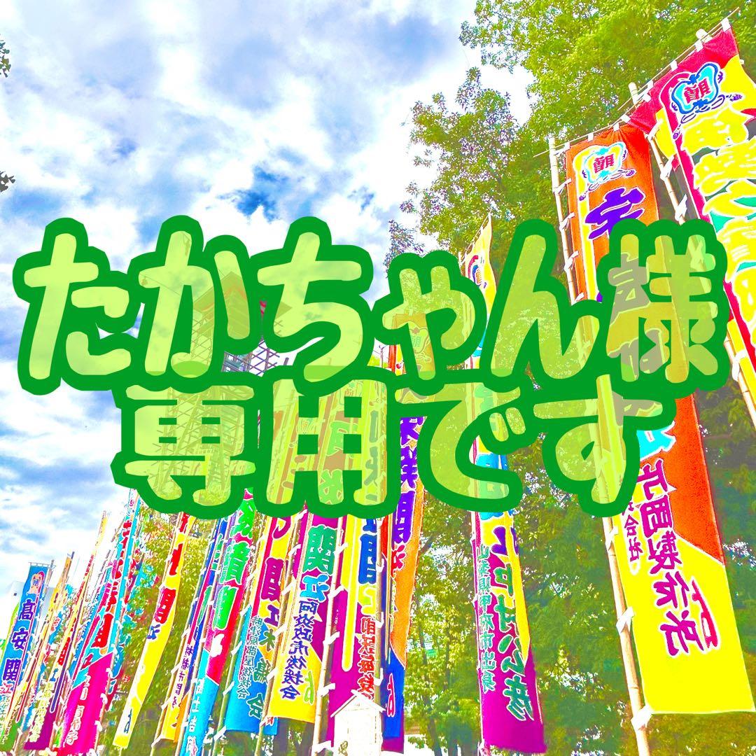 たかちゃん様 専用です✩.*˚