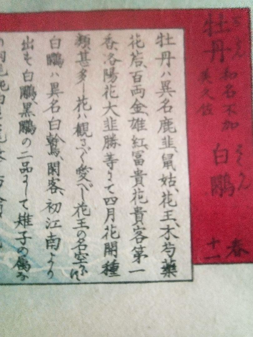 浮世絵、梅領花鳥畫譜、幸野梅領画