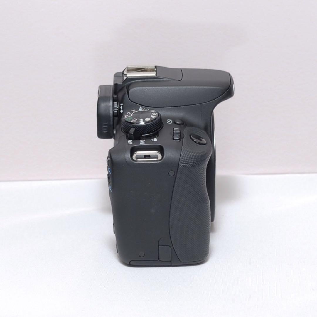 ❤️ダブルレンズ❤️スマホ転送❤️Canon kiss x7❤️小型軽量❤️ ✨望遠デビューに✨小型軽量✨スマホ転送✨Canon kiss X7 W