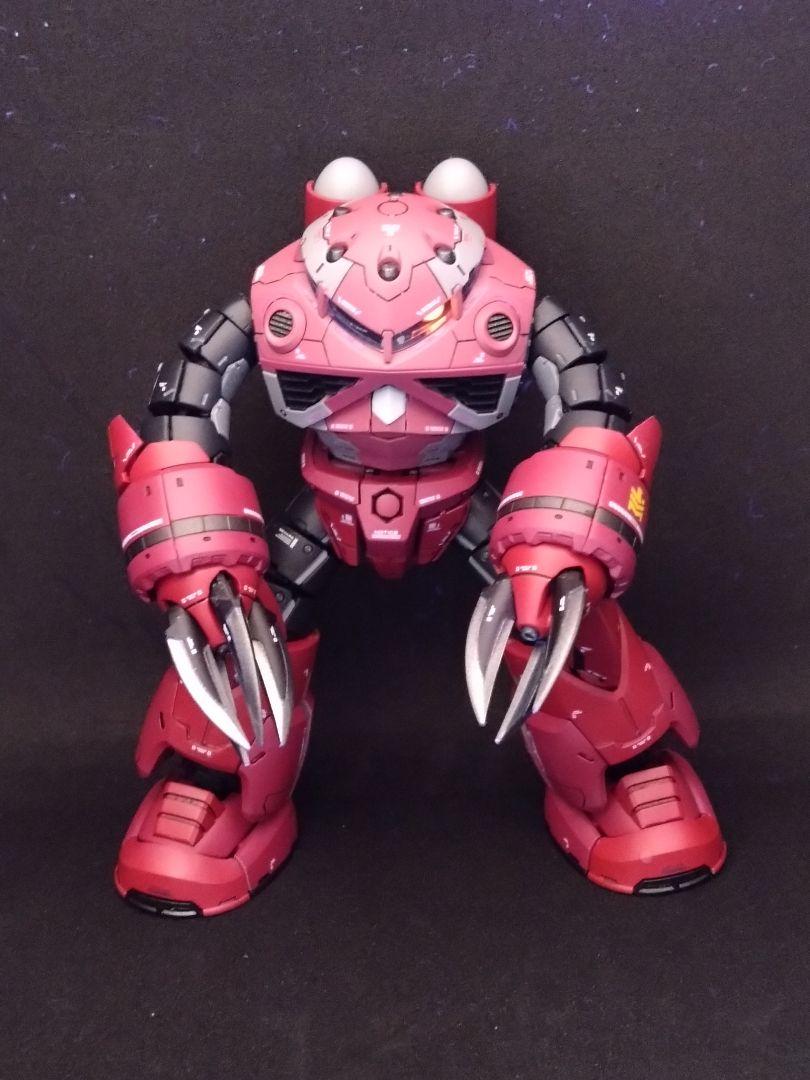 RG シャア専用ズゴック 組立、全塗装済