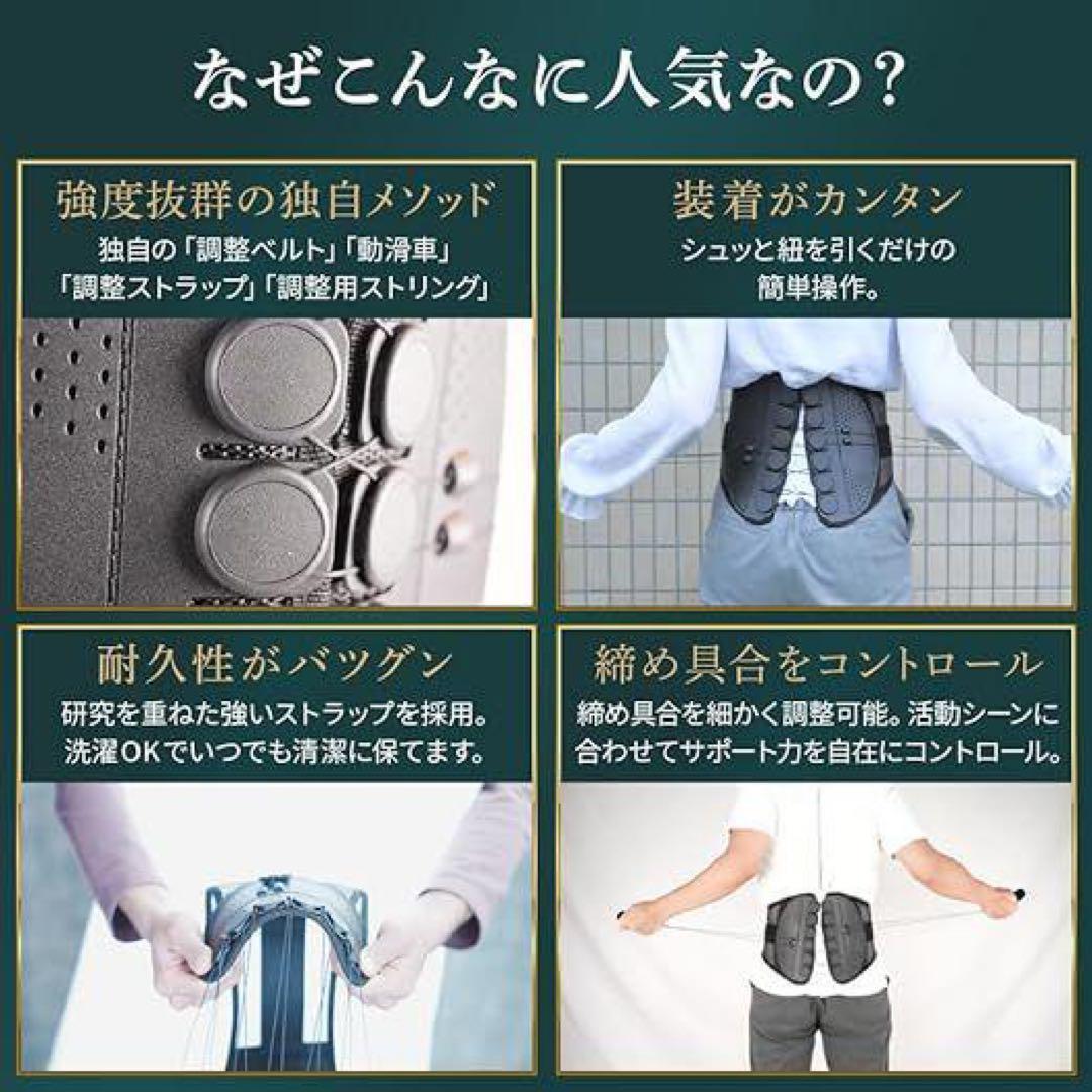 guardner BELT ガードナーベルト　Lサイズ ガードナーオンラインストア - 真剣にふざけるオンラインストア