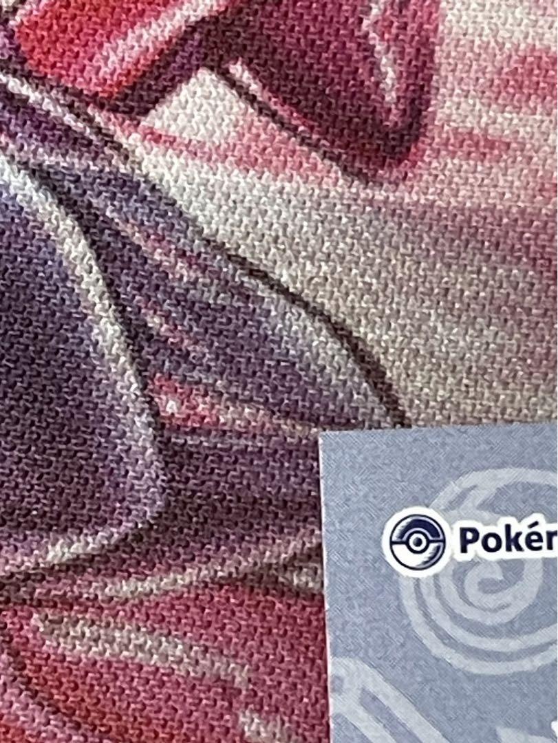 ポケモン　メガキャンペーン　ピカチュウ　ポンチョ　メガレックウザ　名刺カード