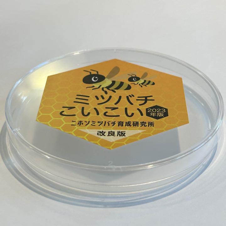 ミツバチ誘引剤 5つセット 安けりゃ ミツバチ誘引ルアー