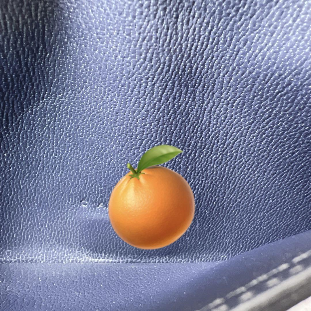 希少 HERMES エルメス クロコダイル オンブレ リザード ロング