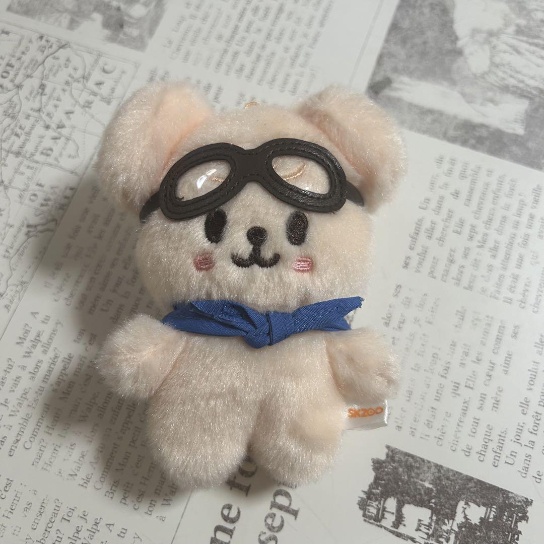 straykids スキズ　ペンミ　トレカケース　PuppyM 新品 スキズ SKZOO ペンミ パピームトレカケース リールホルダー