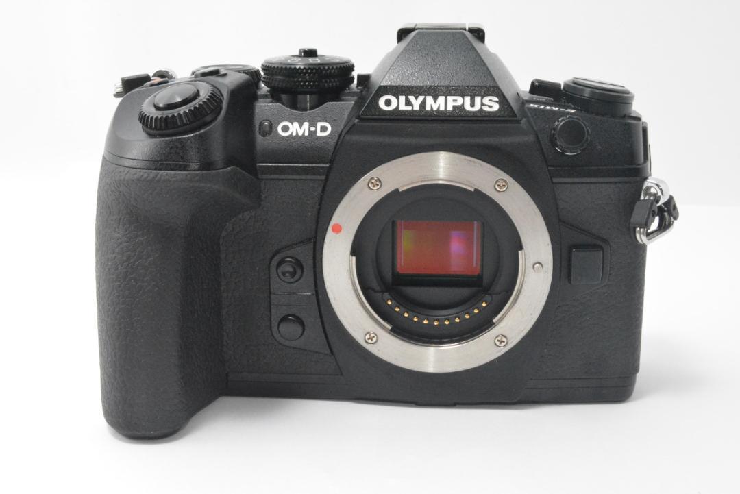 ★極上美品★OLYMPUS OM-D E-M1 MARK II ボディ