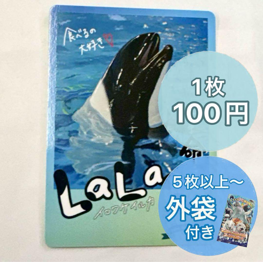 激レア★鳥羽すいぞくかんの生きものたち（生き物の物語を繋いで70周年）レアカード 激レア☆鳥羽すいぞくかんの生きものたち（生き物の物語を繋いで